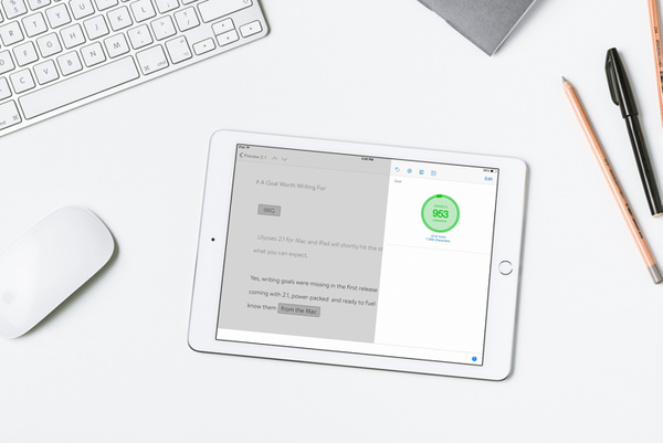 A Goal Worth Writing For