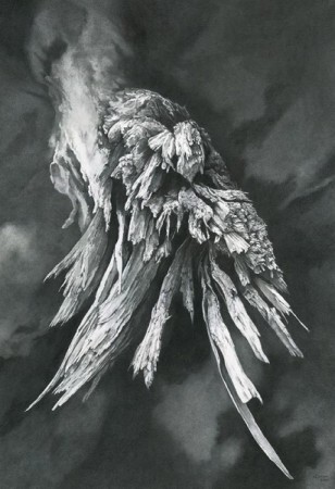 "Limb, Shattered" graphite and pencil on bristol board.